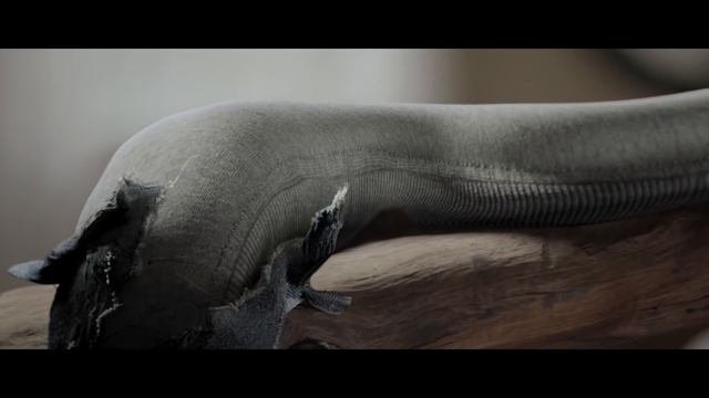 Freddy Push-up леггинсы | Легинсы пуш-ап