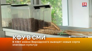 В КФУ имени Вернадского выводят новые сорта 
злаковых культур
