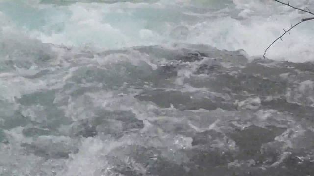 S1040001 ВОДА ОЧИЩАЕТ. смотреть онлайн