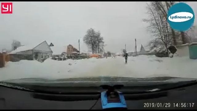 Стая собак напала на молодого жителя Людиново смотреть онлайн