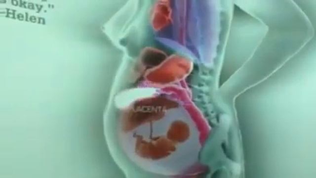 Что происходит с женскими органами во время беерменности. смотреть онлайн