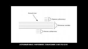 Что такое нотоносец. Нотный стан. Акколада.