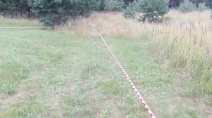 Вынос в натуру границ земельного участка. Вынос границ участка