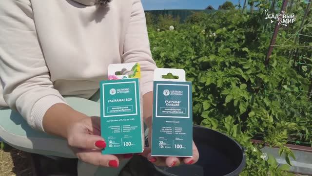 Как приготовить баковую смесь Бор + Кальций для вкусной и крупной картошки
