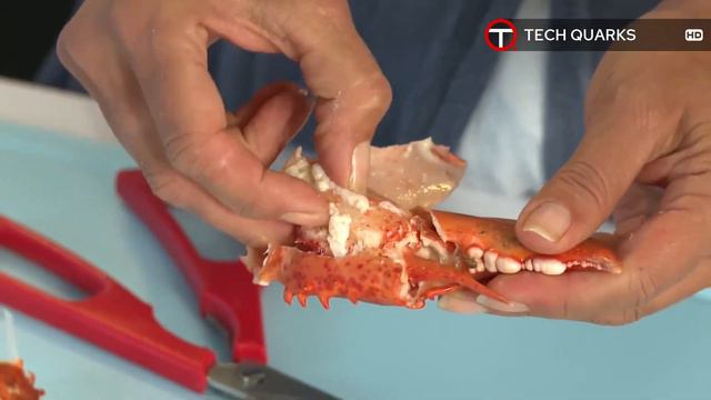 Smart Kitchen Tools & Gadgets. Useful tips and tricks. Improved ingenious design | Tech Quarks ▶03