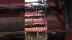Комбайн зерноуборочный полесье 1218 экспресс-обзор от Владислава Кубрина