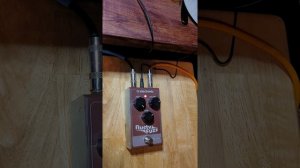 FUZZ Review. TC Electronics Rusty Fuzz. Great Fuzz for Cheap Price