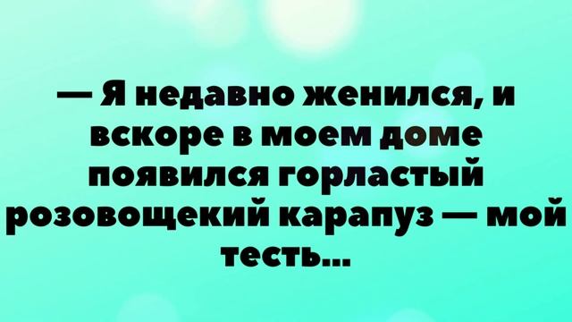 Самые смешные анекдоты про тестя.  Юмор и смех