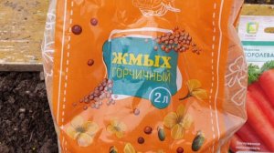 Морковь сеем без прополки и морковной мухи. Морковь на доски. Удивительный способ!