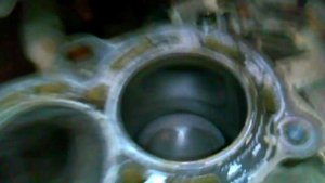 стук поршней ford fiesta mk6