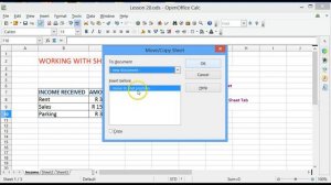 CAT 11_Spreadsheets_Open Office Lesson 20  Working with Sheets