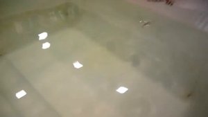 Блесна"Дельфин". Колебалка Питер.