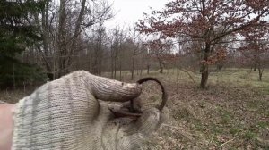 ЖЕНСКАЯ РУКА ПОКАЗАЛАСЬ из ЗЕМЛИ, по СПИНЕ ПРОБЕЖАЛ ХОЛОДОК!!! ПОИСК ЗЛАТА СЕРЕБРА!