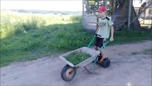 тележка с электро приводом из сигвей i walk трофи