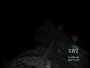 RMS Carpathia пароход Карпатия на дне