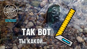 Часть меча и другие познавательные ценности