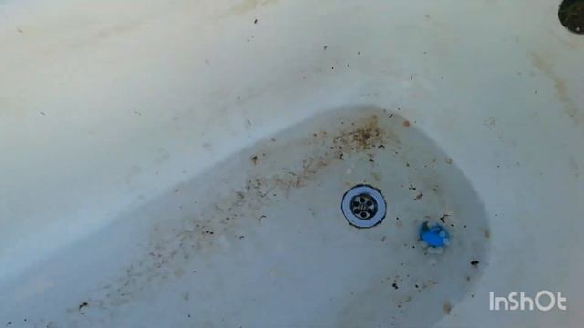 Мороз добьёт виноград. Гомельская обл. 6 мая 2023года. Часть первая. смотреть онлайн