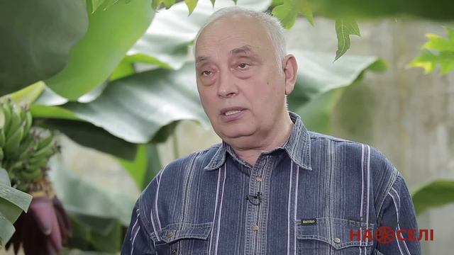 Як заробити на екзотичних саджанцях? смотреть онлайн