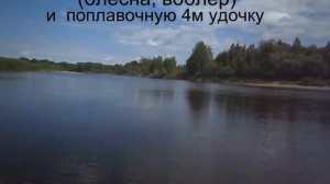Рыбалка на Ветлуге