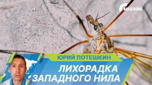 Как проявляется лихорадка Западного Нила и как избежать заражения опасным вирусом?