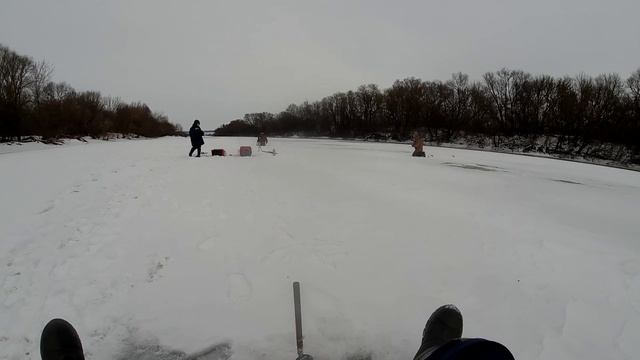 Ловля пескаря на Быстрой Сосне смотреть онлайн