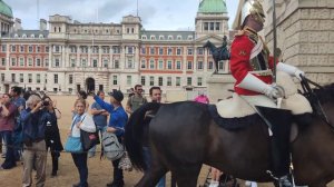 Queen's Horse Needed A Toilet Break During Changing Of The Horse Guard