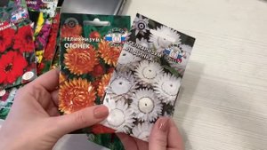 Картинка и реальность. Что выросло из семян цветов в 2022? Однолетники из семян.
