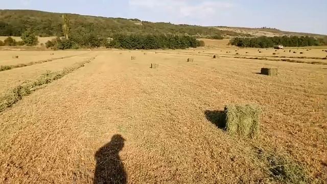 Заготовка сена август 2019 смотреть онлайн