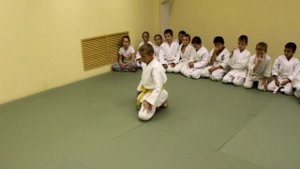 Тэнкан в сикко/ tenkan sikko