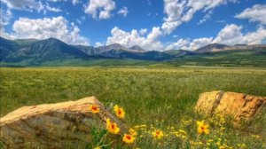 Псалом 32 , Псалом Давида