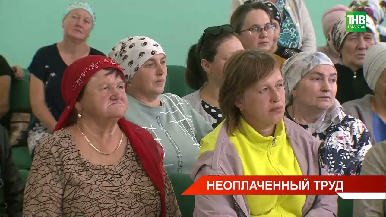 Жители трёх деревень Чистопольского района не могут получить деньги за сданное молоко