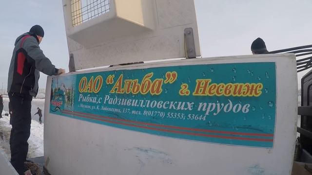 AREA TROUT в Беларуси. ЛОВЛЯ прудовой форели НА СПИННИНГ #34
