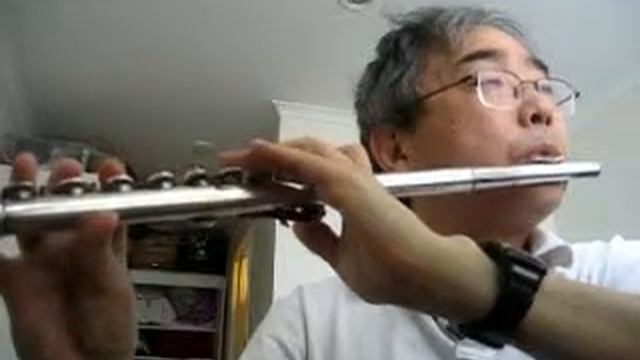 찬송가 Hymn - 487 장 - 죄짐 맡은 우리 구주 (What a friend we have in Jesus) - Pearl Nickel Flute смотреть онлайн