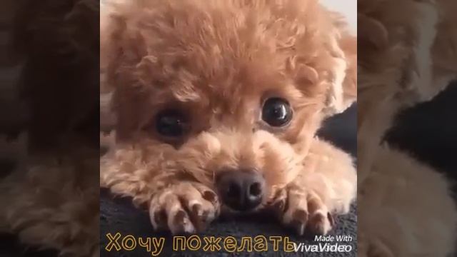 Когда ты уговариваешь своих родителей не идти в школу! ? смотреть онлайн