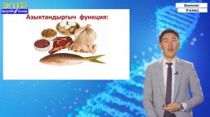 9 класс | Биология | Органикалык компоненттери. Белоктор нуклеин кислотасы АТФ