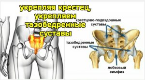 Зажатый половой нерв вызывает деградацию половых органов и тазобедренных суставов. Упражнения