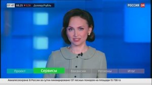 Инструкция. Портал "Работа России". Россия 24