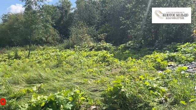 Участок 19 соток на вновь выделенной территории в деревне Следнево, Александровский район