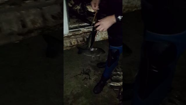 подводная рыбалка на волге 2015 год . смотреть онлайн