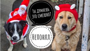 Утро 1 января