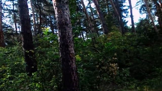 САМВЕЛ ДЕНЬГИ НЕ ВАЖНЫ. ПОЧЕМУ ОН ЛЮБИТ СТАРЫХ ЖЕНЩИН.КОГДА УЙДЁТ С YOUTUBE смотреть онлайн