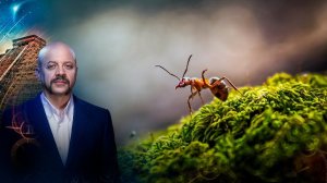 Бразильские чудовища. Снимите это немедленно. Папская тиара. | Загадки человечества (03.03.20)