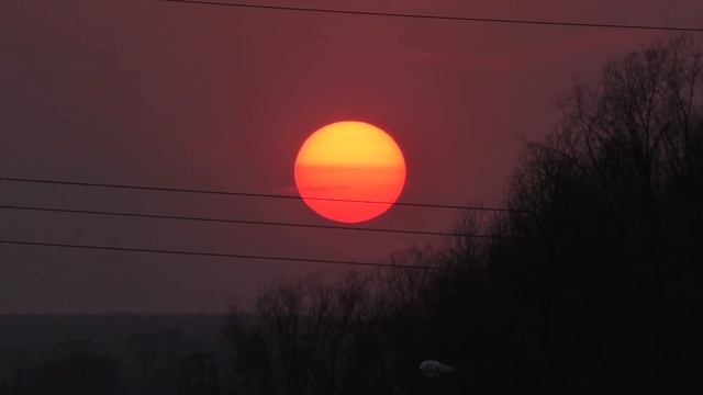 Утомлённое солнце смотреть онлайн