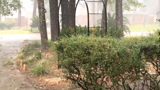 Hurricane Laura Hello Checking In Safe смотреть онлайн