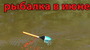 Рыбалка 15 июня на реке