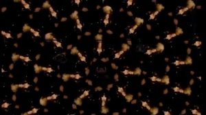 Бейонсе.НФЛ.Супер Боул-2013.Новый Орлеан.