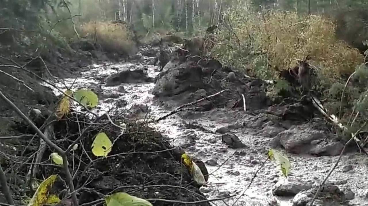 Огромный оползень в Челябинской области снова ломает деревья
