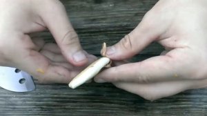 Что ВНУТРИ косточки МАНГО ?