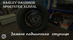 Harley-Davidson Sportster -  Замена подшипника ступицы (Hub bearing replacement)