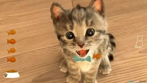 Little Kitten - My Favorite Cat - Pet Care Games for Kids